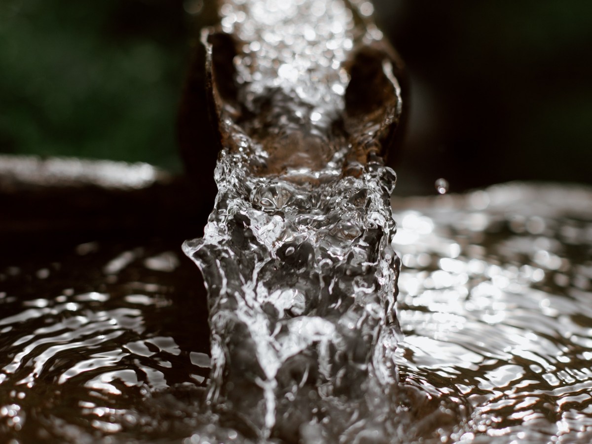 «Nous devons tenir compte du facteur de disponibilité&nbsp;limitatif»