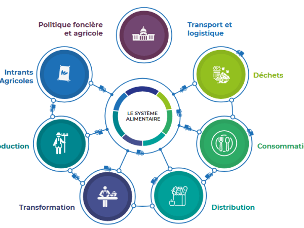 Résilience et sécurité&nbsp;alimentaire
